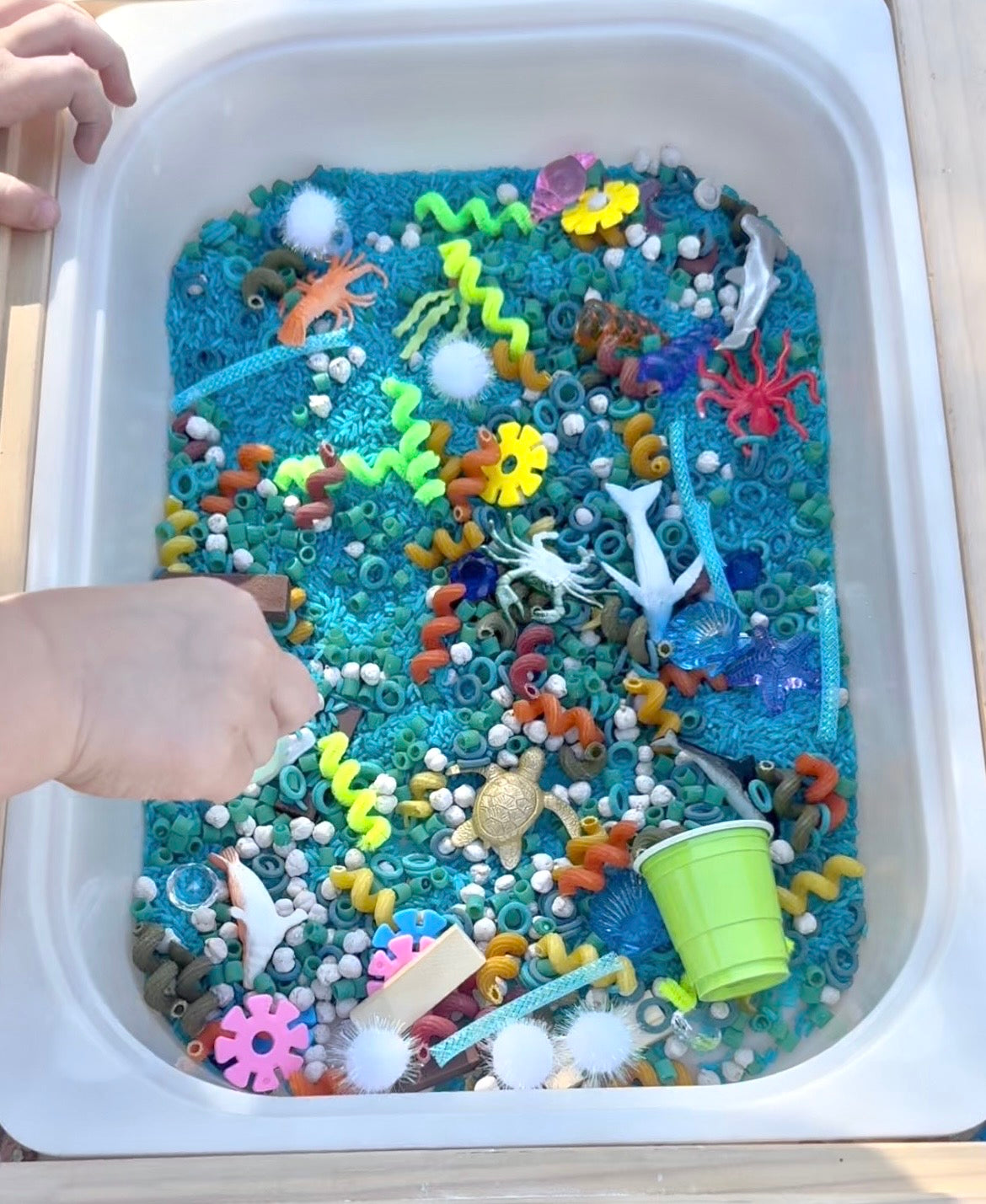 Ocean Pour & Play