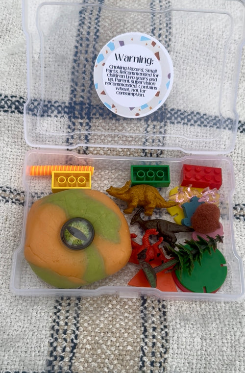 Dinosaur Busy Box