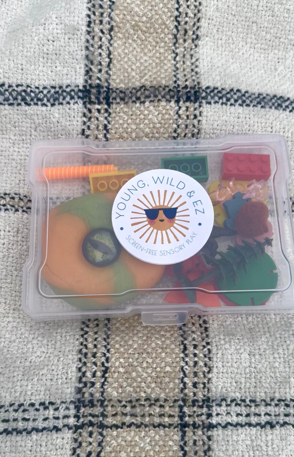 Dinosaur Busy Box