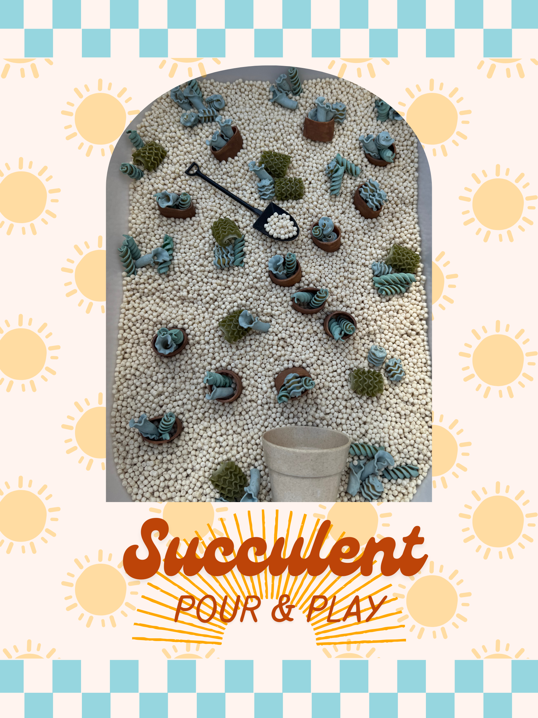 Succulent Pour & Play
